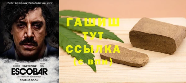 твердый Бородино