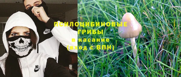 прущий лед Бронницы