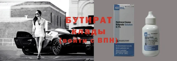 твердый Бородино