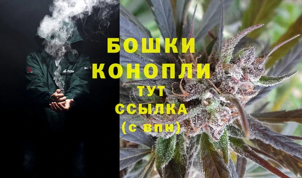 твердый Бородино