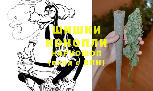 твердый Бородино
