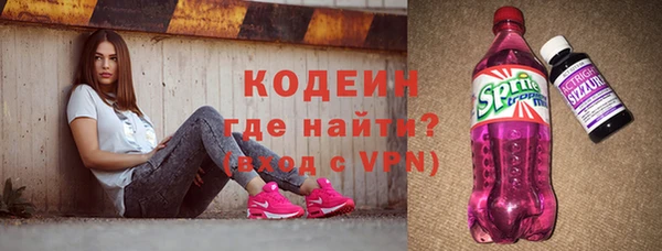 твердый Бородино