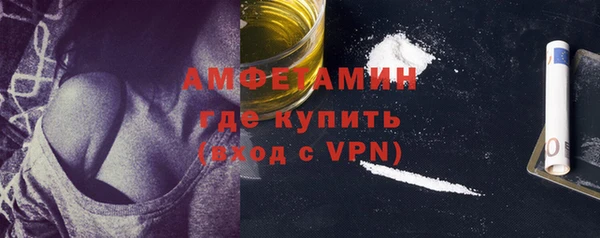 твердый Бородино